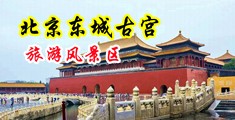 看少妇日b的视频中国北京-东城古宫旅游风景区